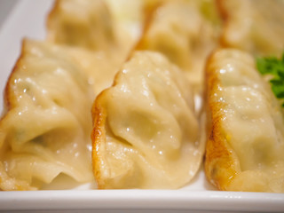Gyoza dumplings with vegetables