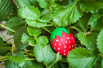 Strawberry ester egg  in strawberry tree