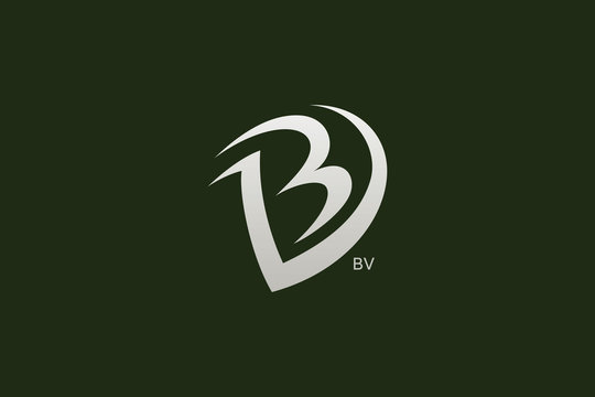 BV Logo PNG Vector (CDR) Free Download