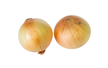 Fototapeta premium Fresh onion isolated on white background.