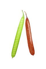 green and brown lead tree or horse tamarind isolated on white