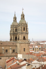 Fototapeta na wymiar Clerecia Building, Salamanca