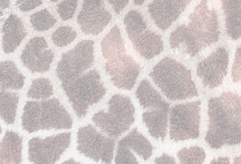 Pastel giraffe skin textured background