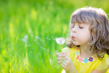 Happy child blowing dandelion flower outdoors