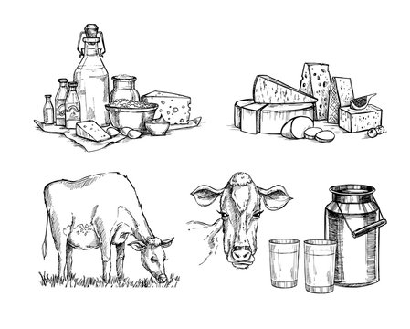Hand drawn vector illustrations. Milk farm. Cheese and milk set (mozzarella, blue cheese, gouda, parmesan, maasdam). Design elements in sketch style. Perfect for packaging, menu, cards