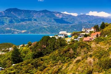Fotobehang beautiful neigborhood with houses. Location: New Zealand, capital city Wellington © skylynxdesign