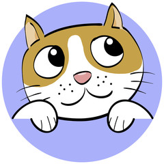 cat cartoon