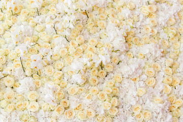 Large background of fresh flowers roses and orchids