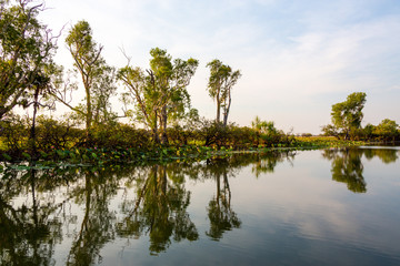 Spiegelungen in der Abenddännerung