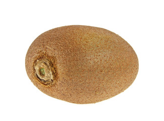 Kiwi fruit isolated on a white background