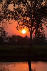 Naklejka premium Sunset in Australia