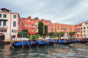Venice Grand canal with gondolas and Rialto Bridge, Italy in summer bright day