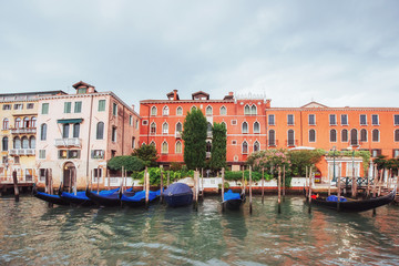Fototapeta na wymiar Venice Grand canal with gondolas and Rialto Bridge, Italy in summer bright day