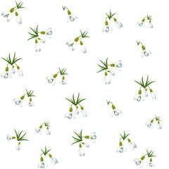 Seamless pattern with many snowdrops flowers with green leaves same sizes. White background. Vector illustration