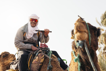 Young man ride on dromedary.