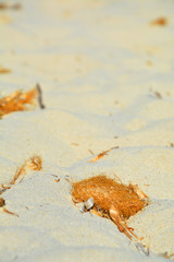 Arena e de playa