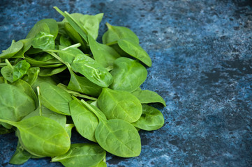 Fresh baby spinach leaves on a blue textured background. Copy space.