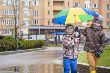 Two little boys, squat on a puddle, with little umbrellas