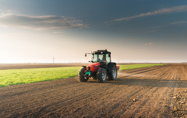 Fototapeta premium Tractor spreading artificial fertilizers