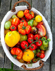 colorful tomatoes in basket