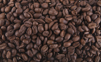 coffee beans