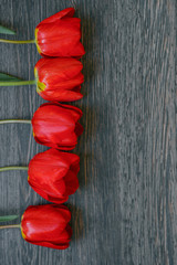 row red tulips on a dark wooden background