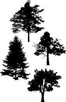 four tree silhouettes illustration on white