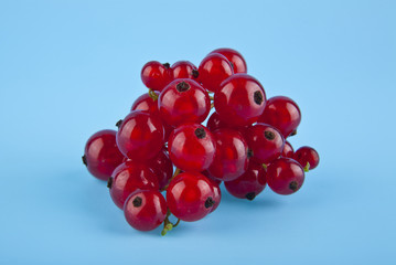 red currant