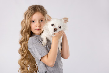 Little girl with white chihuahua dog isolated on white background. Kids Pet Friendship