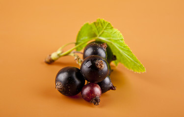 blackberry