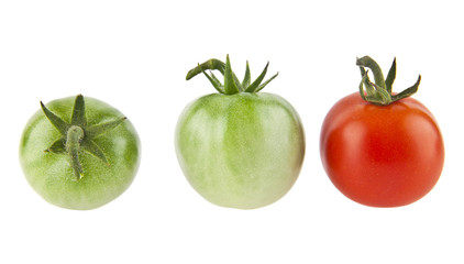 tomatoes