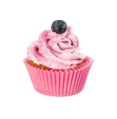 Blueberry cupcake with whipped cream and fresh blueberries
