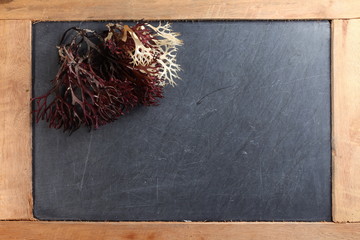 The seaweed put on slate board represent the sea plant and plant concept related idea.
