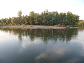 Сибирская тайга