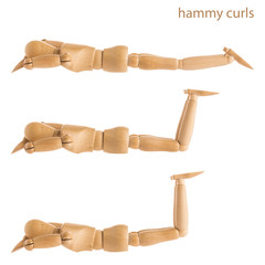 hammy curls pose