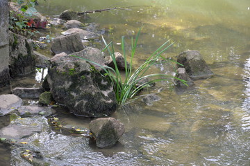 au bord de l'eau