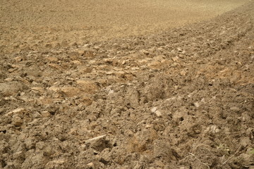 terre labour