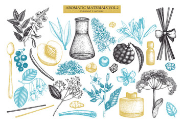 Vector floral collection. Vintage Hand drawn Perfumery and cosmetics ingredients set. Aromatic and medicinal plant. - obrazy, fototapety, plakaty