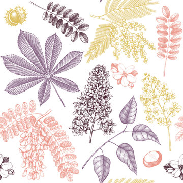 Seamless pattern with hand drawn blossoming trees illustrations. Vintage floral design. Vector botanical background. Hand sketched elements.