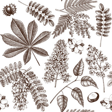 Seamless pattern with hand drawn blossoming trees illustrations. Vintage floral design. Vector botanical background. Hand sketched elements.