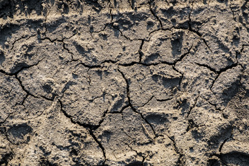 Texture crack in the ground, on the wall of the house, in the desert