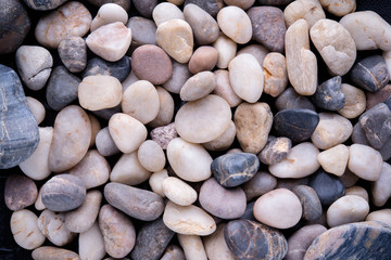 abstract background with dry round reeble stones
