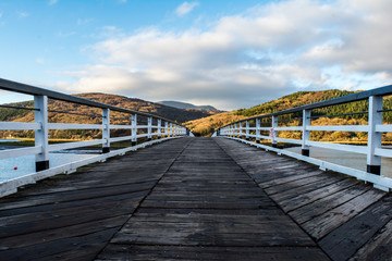 Fototapeta premium bridge