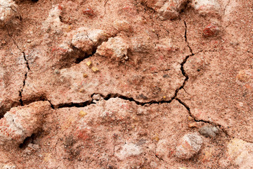 arid land, drought