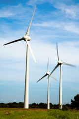 Fototapeta premium éolienne dans un champ