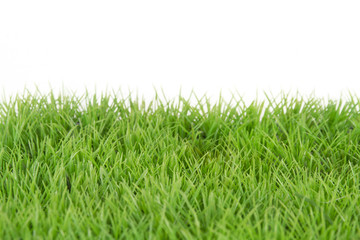 Gras