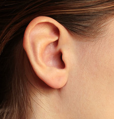 A girl's ear brown-haired women
