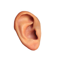 Ear girls in isolation