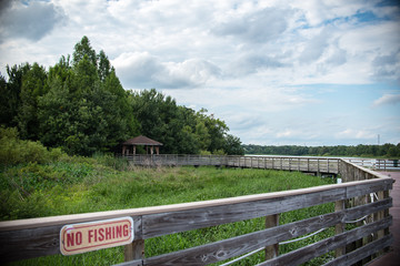 Fototapeta na wymiar Fenced Pathway at Swamp Park in Florida 