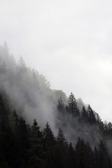 foggy clouds rising from dark alpine mountain forest